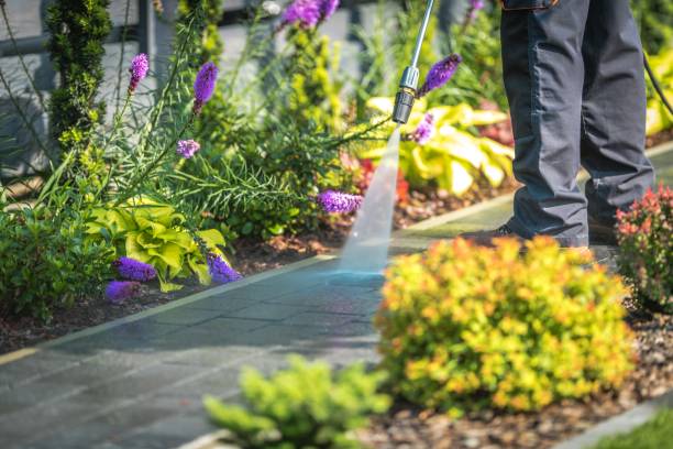 Best Post-Construction Pressure Washing  in Butte, AK